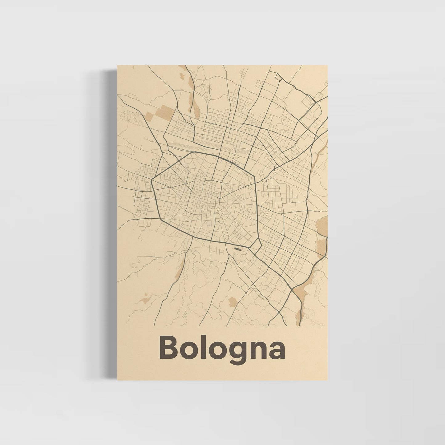 Mappa di Bologna