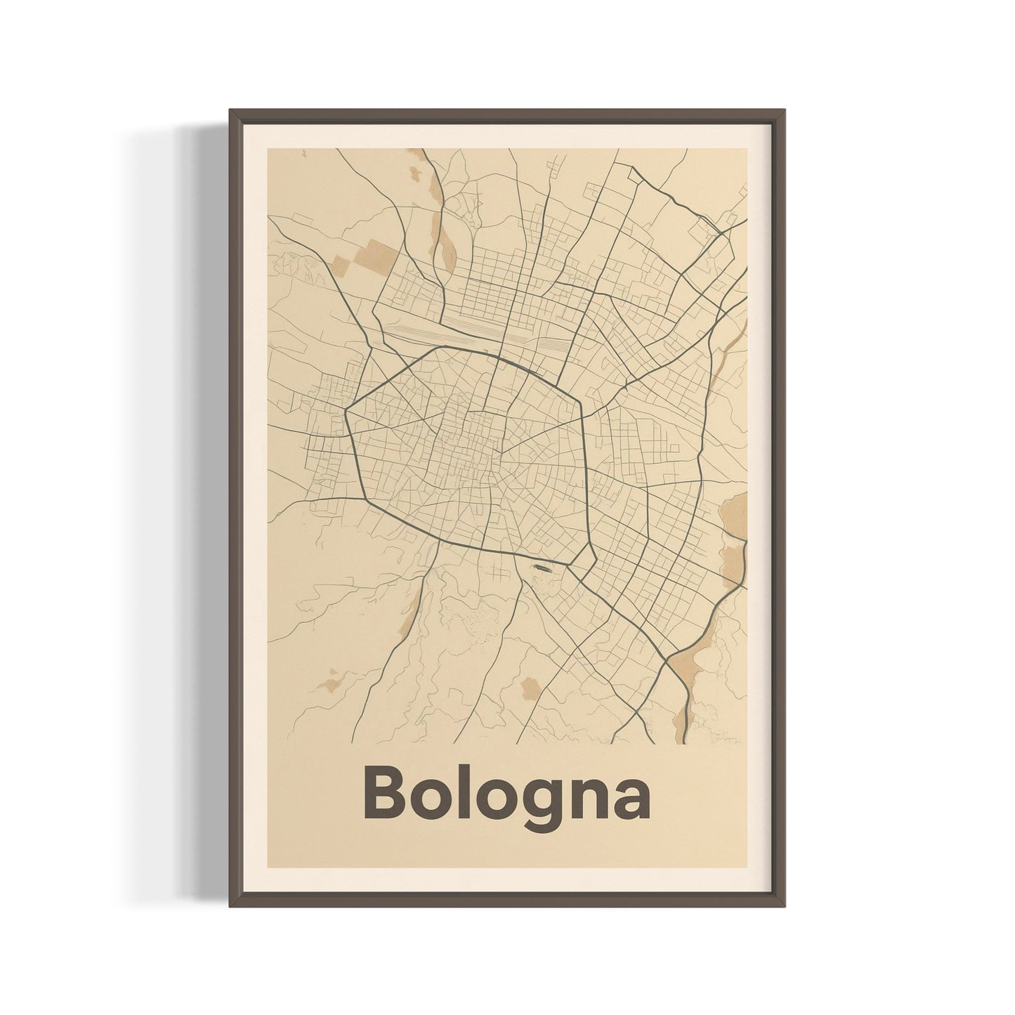 Bologna mappe