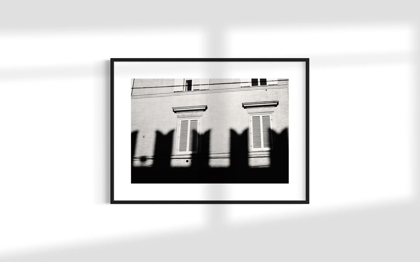 The shadow - Palazzo Re Enzo