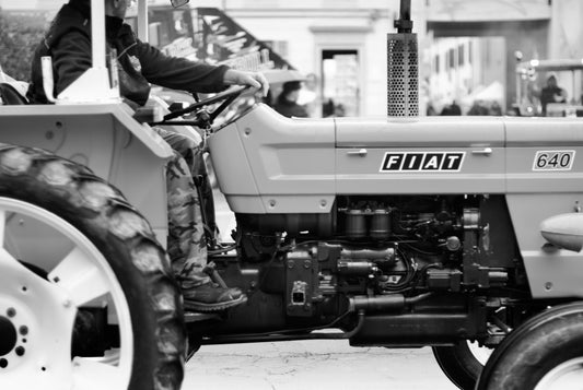 Coltura della gratitudine