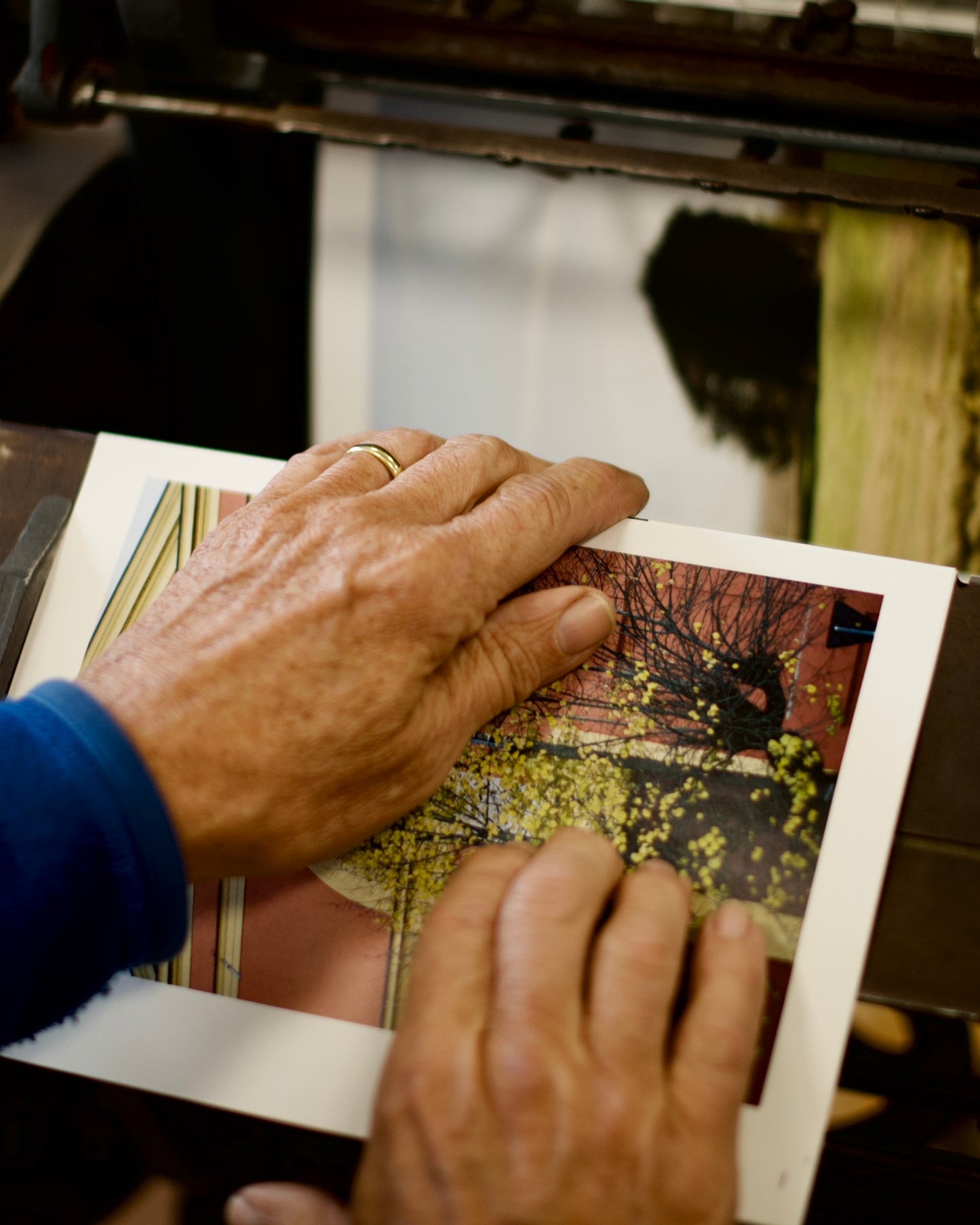 Crevalcore - edizione italiana